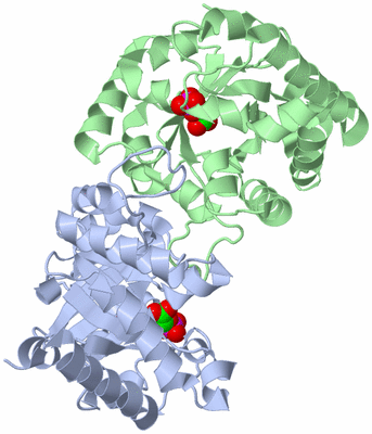 Image Asym./Biol. Unit