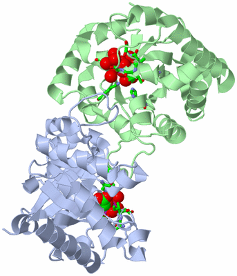 Image Asym./Biol. Unit - sites