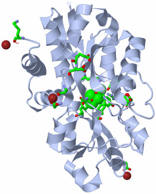 Image Biol. Unit 1 - sites