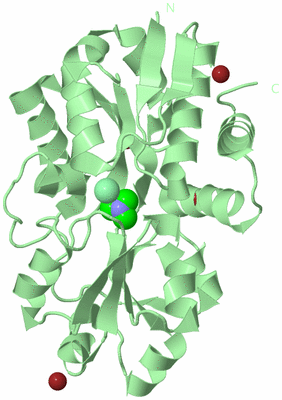 Image Biological Unit 2