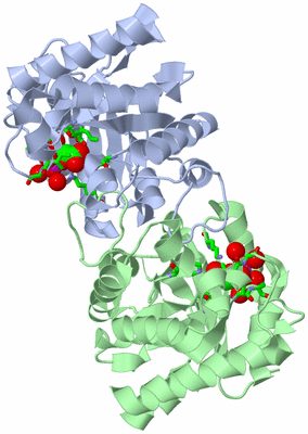 Image Asym./Biol. Unit - sites