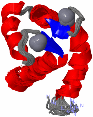 Image NMR Structure - all models