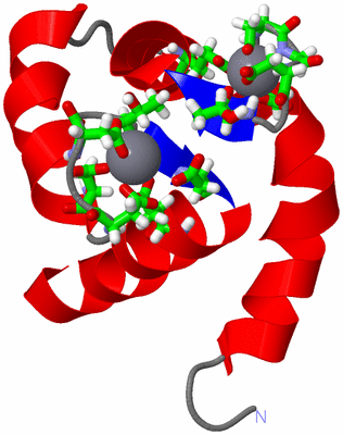 Image NMR Structure - model 1, sites