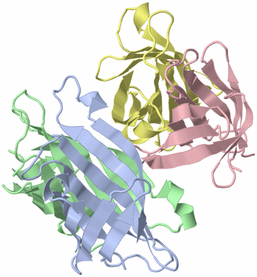 Image Asym./Biol. Unit