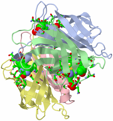 Image Asym./Biol. Unit - sites