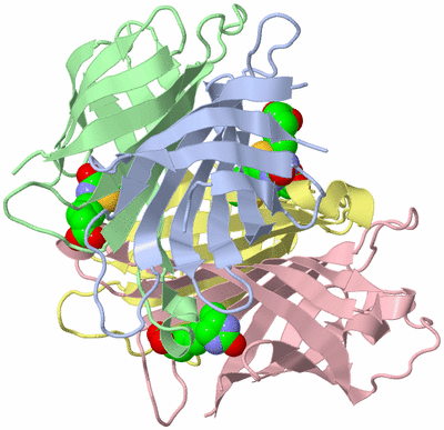 Image Biological Unit 1