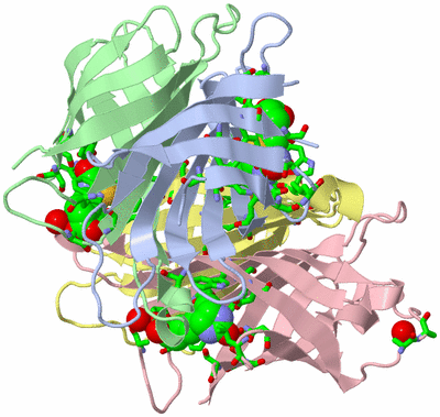 Image Biol. Unit 1 - sites