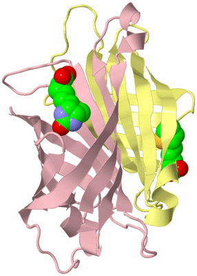 Image Biological Unit 3