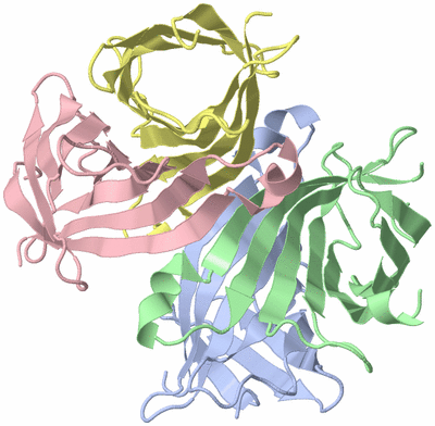 Image Asym./Biol. Unit