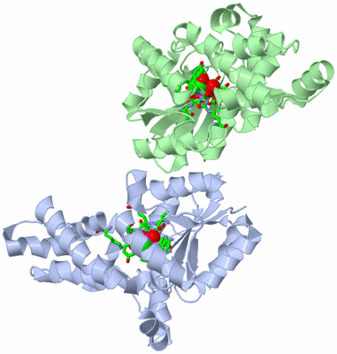 Image Asym./Biol. Unit - sites