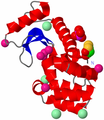 Image Asym./Biol. Unit