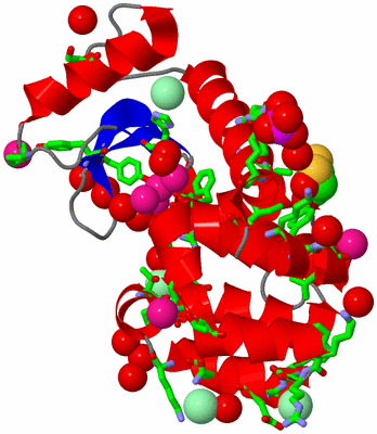 Image Asym./Biol. Unit - sites