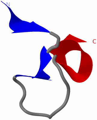 Image NMR Structure - model 1