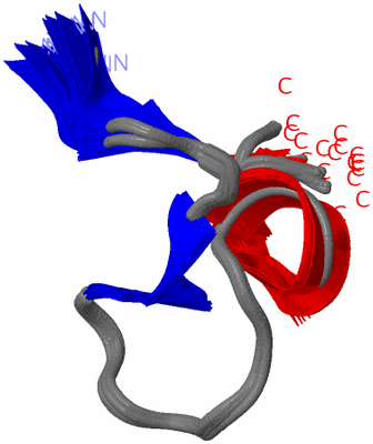 Image NMR Structure - all models