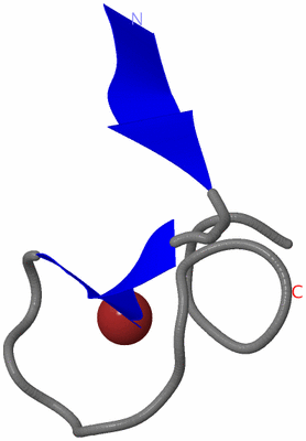 Image NMR Structure - model 1