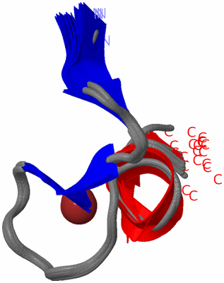 Image NMR Structure - all models