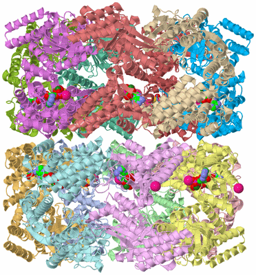 Image Asym./Biol. Unit