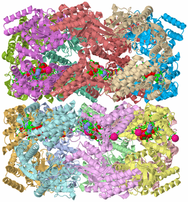 Image Asym./Biol. Unit - sites