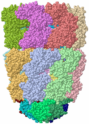 Image Asym./Biol. Unit