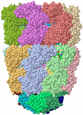 Image Asym./Biol. Unit - sites