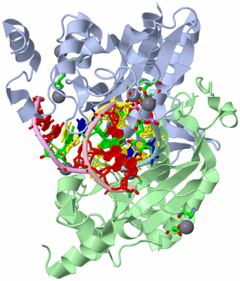 Image Asym./Biol. Unit - sites