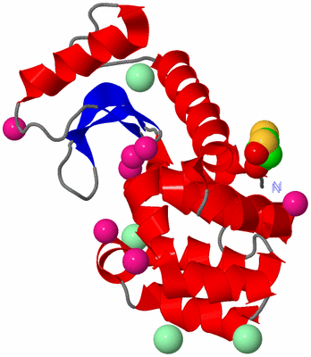 Image Asym./Biol. Unit