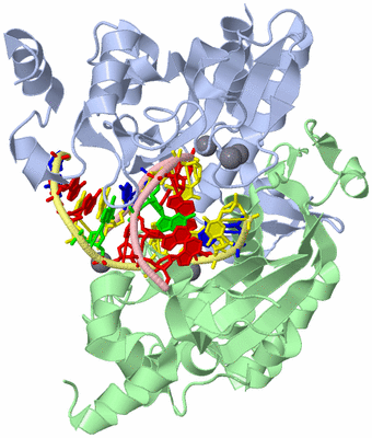 Image Asym./Biol. Unit