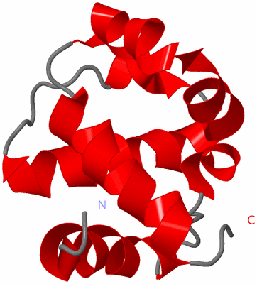 Image NMR Structure - model 1