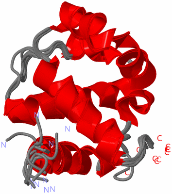 Image NMR Structure - all models