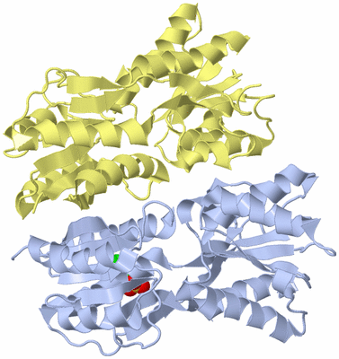 Image Biological Unit 1