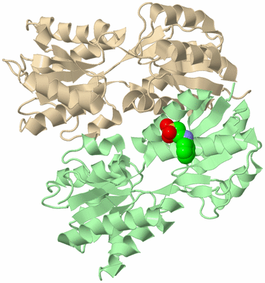 Image Biological Unit 2