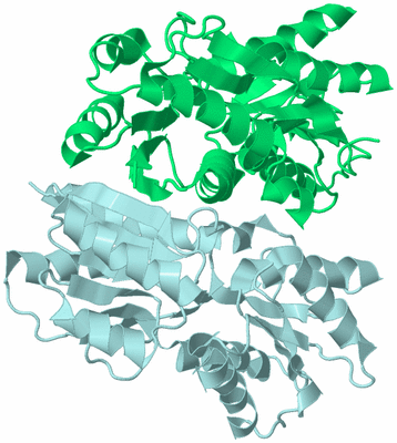 Image Biological Unit 3