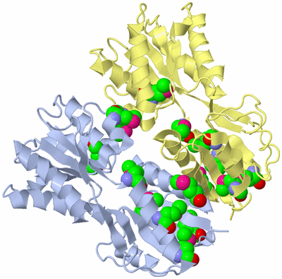 Image Asym./Biol. Unit