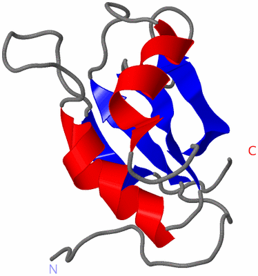 Image NMR Structure - model 1