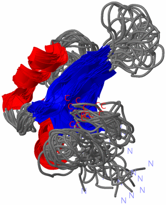 Image NMR Structure - all models