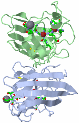 Image Asym./Biol. Unit - sites