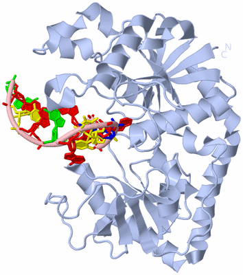 Image Biol. Unit 1 - sites