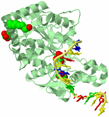 Image Biological Unit 2