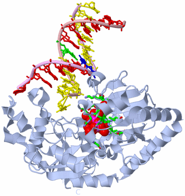 Image Biol. Unit 1 - sites