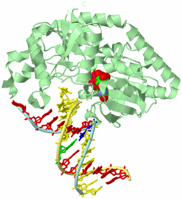 Image Biological Unit 2