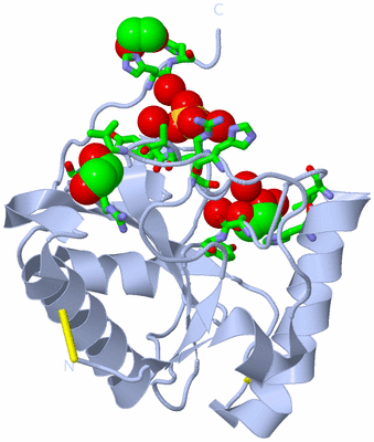 Image Biol. Unit 1 - sites