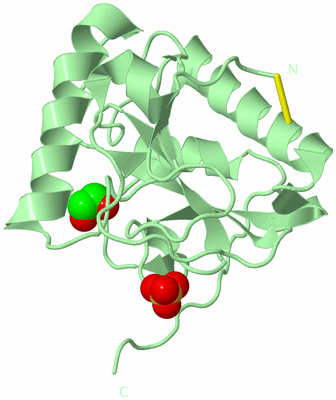 Image Biological Unit 2