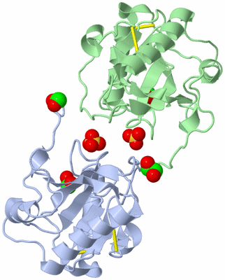 Image Biological Unit 3