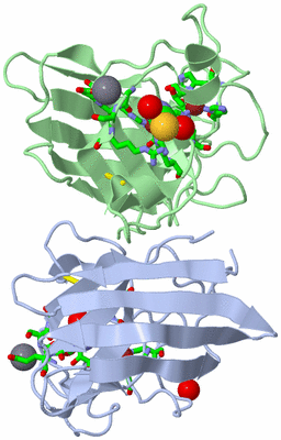 Image Asym./Biol. Unit - sites