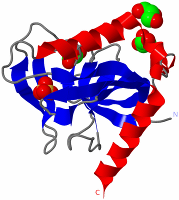 Image Asymmetric Unit