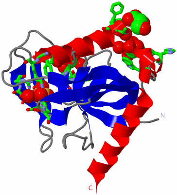 Image Asym. Unit - sites