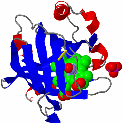 Image Asym./Biol. Unit