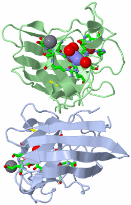 Image Asym./Biol. Unit - sites