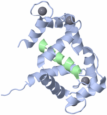 Image NMR Structure - model 1