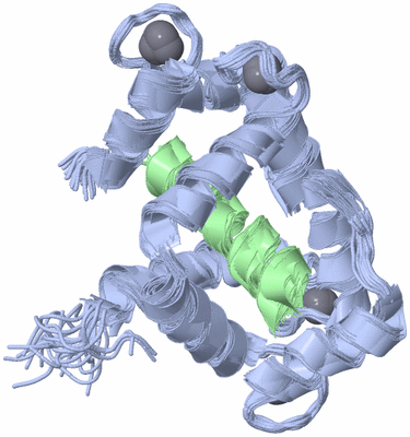 Image NMR Structure - all models